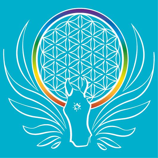 Angiliade - soins et communication